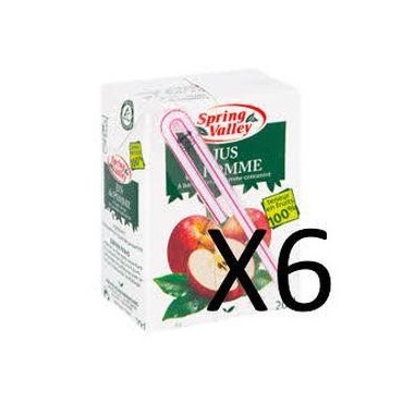Spring Valley jus de pomme pack 6x20cl