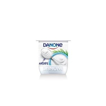 Yaourt Nature Danone 110G